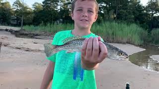 09.07.2020: Jubilee on the Eastern Shore of Mobile Bay