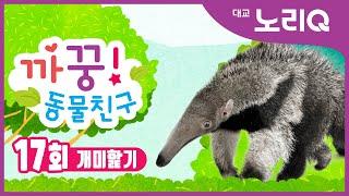 까꿍! 동물친구ㅣ자연관찰ㅣ개미핥기ㅣBabies&KidsㅣPikaboo! Animal friendsㅣAnt EaterㅣDaekyo noriQ l 대교 노리Q