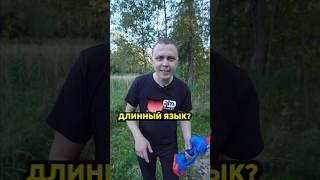 Сделай жену ласковой. Jonser