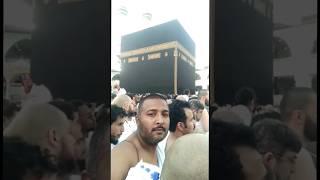 Kabay ki Ronak || #makkah #live #tawafkaaba #umrah #shorts #islamicstatus