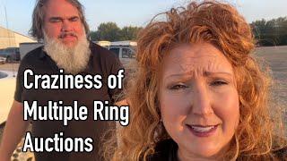 Craziness of a Multiple Ring Auction Shipshewana Weekly Auction