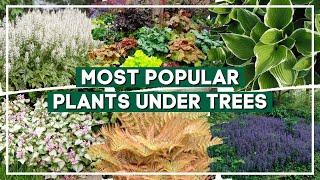 Top 15 Most Popular Plants for Planting Under Trees   // PlantDo Home & Garden