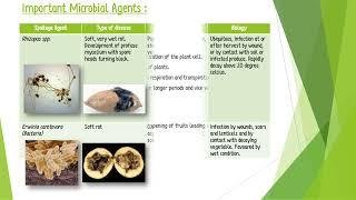 Microbial spoilage characteristics of fruits and vegetables