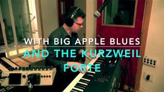 KURZWEIL FORTE from WEISERSOUND