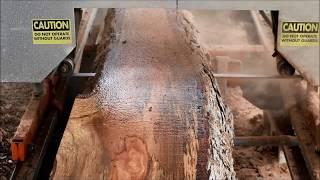 Cutting Spalted Pecan Logs with Norwood Sawmill  Woodmill Part 2