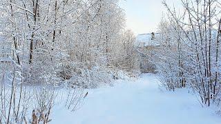 You have to See It to Believe!!! Unreal Winter's Fairy Tale in a Small Russian Town