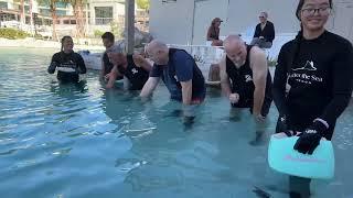 Stingray & Lagoon Experience At The St Regis Hotel In Longboat Key.