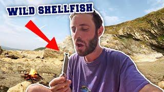 I forage for shellfish and become embroiled in a village dispute [Cornwall Tenner #2]