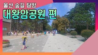 Ulsan Forest Road Tour - Daewangam Park