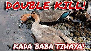 JACKPOT! HALOS BUMUHOS ANG DAPO NG WILD DUCK |  X4 RAF HUNTER EP44 | #hunter #hunting #fyp