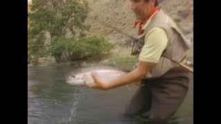 Fly Fishing for Trophy Steelhead with Lani Waller