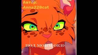 Белка КВ / Squirrelflight WC  #котывоителиБелка #WarriorCatsSquirrelflight #рекомендации