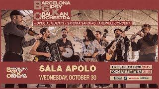 Barcelona Gipsy balKan Orchestra Live in Apolo 2019 - Sandra Sangiao Last Concert