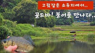 [충북 진천권]소류지에서의,,황금빛 힐링 붕어낚시!