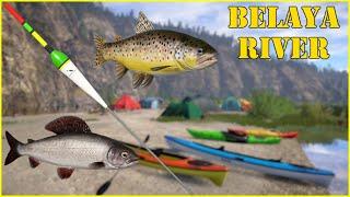 Belaya River Grayling & Brown trout on float #101 Russian Fishing 4 rf4