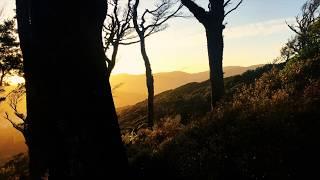 Hard Antler Hunting-Channel Trailer