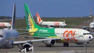 Aeroporto de Salvador LOTADO - Pousos e decolagens incríveis 