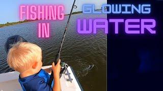 Bioluminescence | GLOWING WATER | Indian River Lagoon | Overnight Boat Trip in Catfish Corner