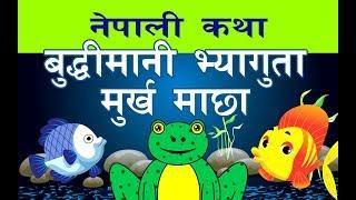 नेपाली कथा बुद्धिमानी भ्यागुता र मुर्ख माछा | Stories in Nepali For Kids