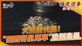 大麻替代品! 迷幻「墨西哥鼠尾草」恐列毒品｜TVBS新聞