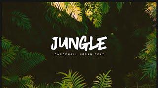 Dancehall Instrumental x Netherlands beats Type - " JUNGLE  "