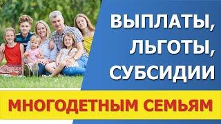 Пособия, льготы, субсидии многодетным