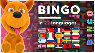  Bingo the Dog  All languages!  Compilation of Nursery Rhymes  Hey Kids Worldwide