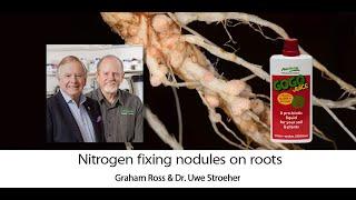 Neutrog TV | How Nitrogen fixing legumes fertilise your garden + GOGO Juice