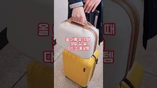 들어왔다만 하면 품절! 올 여름 휴가 때 정말 잘 쓸 다이소 품절템 소개해드릴께요~!