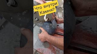 Шедевр внутри черепашьего камня! #золото #пирит #gold #stone #камнемания #минералы #камниобереги