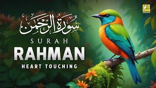 Relaxing Surah Ar-Rahman سورة الرحمن | Heart touching recitation soft voice | ZikarAllah TV