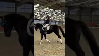 New canter challenge? #horse#equestrian#alannaclarkeequestrian#canter#canterchallenge#satisfying