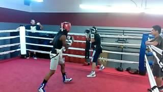 Sparring work