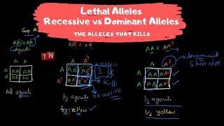 Lethal Alleles - The Alleles that Kills