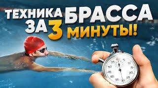 Как правильно плавать брассом? Работа рук и ног в плавании брассом. ТОП ошибок брасса | Swim Rocket