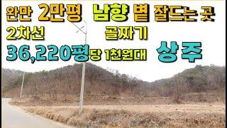 상주  36,220평  /  남향,  완만 2만평,  밭으로 400평,  골짜기  /  2차선접, 상주싼임야,