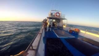 Crayfishing Two rocks Western Australia