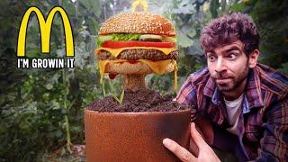 I grew a Mcdonalds #2 meal