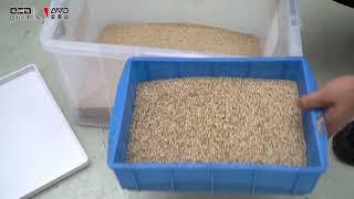 RG for sesame seeds color sorting machine