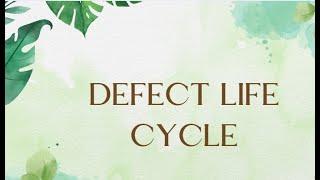 Stages of Defect Life Cycle