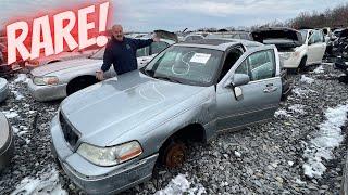 We found a super RARE Lincoln Town Car at the Junkyard! Salvage Yard Shopping!