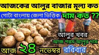 আলুর বর্তমান পরিস্থিতি I Current Situation of Potatos in Bengal  Indian Potato News 23/11/24