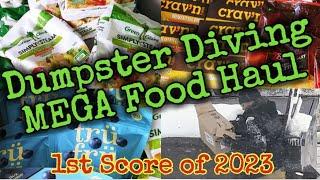 Epic Dumpster Dive, Massive Food Haul! Frozen Food for Days! Saving Food From The Landfill