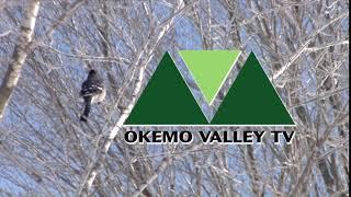 You Are Watching Okemo Valley TV: Winter Station ID