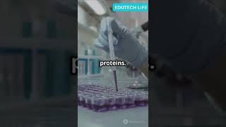 Protein Purification 101 Quick Guide!