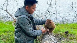 The emotional reunion between dad and Monkey Kaka after a long time not seeing each other