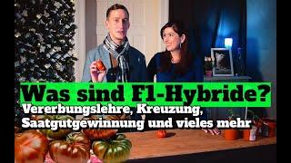 Was sind F1-Hybride bei Pflanzen? - Vererbungslehre, Kreuzung, Saatgutgewinnung und vieles mehr