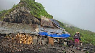 Village Life in Himalayas |Most Peaceful And Relaxing Himalayan Village Life Rainy Day Village Nepal