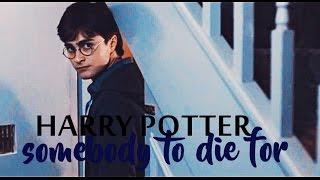 Harry Potter | Somebody To Die For