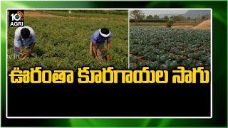 ఊరంతా కూరగాయల సాగు: Vempalle Villagers Vegetable Farming | Matti Manishi | 10TV News